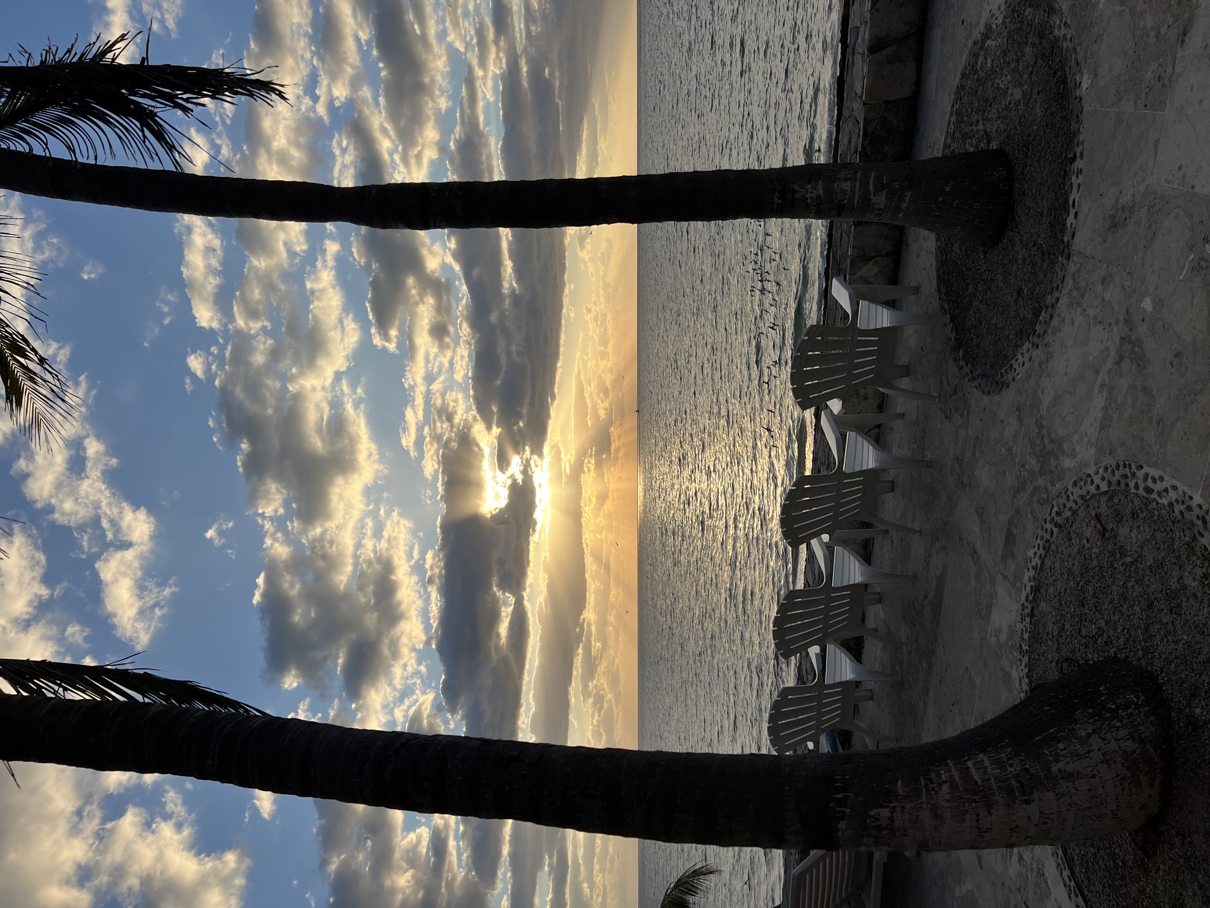 Discover The Experience